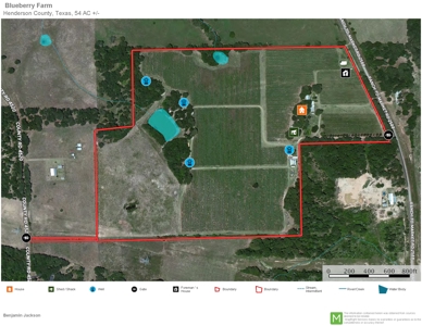 East Texas Organic Blueberry Farm for Sale Henderson County - image 7