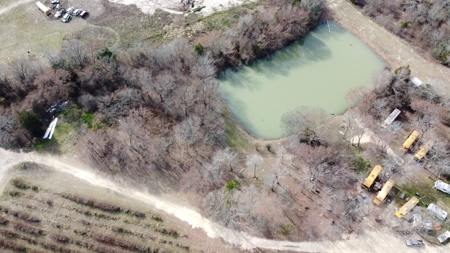 East Texas Organic Blueberry Farm for Sale Henderson County - image 28