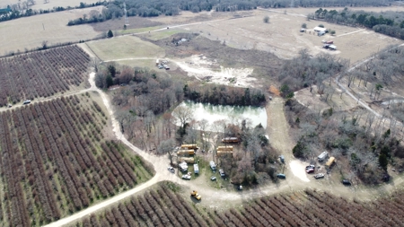 East Texas Organic Blueberry Farm for Sale Henderson County - image 25