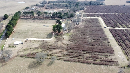 East Texas Organic Blueberry Farm for Sale Henderson County - image 22