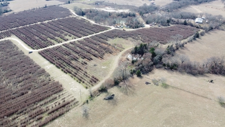 East Texas Organic Blueberry Farm for Sale Henderson County - image 21