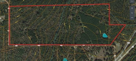 Rural Land With Stream And Pond For Sale Palestine Texas - image 8