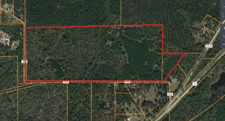 Rural Land With Stream And Pond For Sale Palestine Texas - image 9