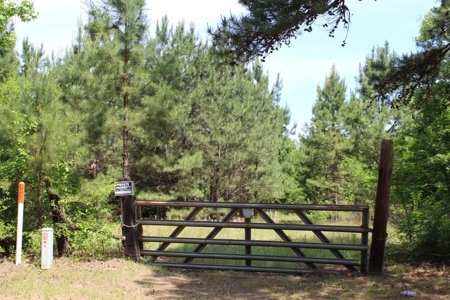 Rural Land With Stream And Pond For Sale Palestine Texas - image 3