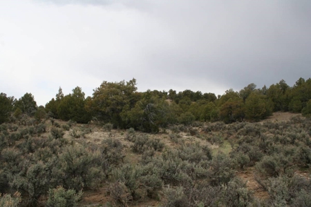 Land for sale near Chama NM below Brazos Cliffs - image 8