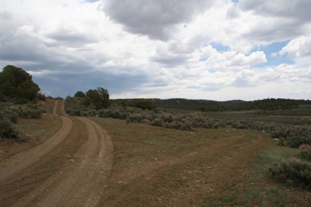 Land for sale near Chama NM below Brazos Cliffs - image 12