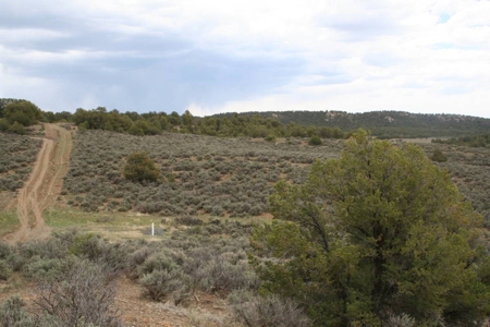Land for sale near Chama NM below Brazos Cliffs - image 11