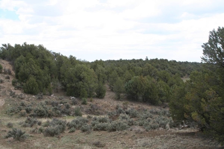 Land for sale near Chama NM below Brazos Cliffs - image 9