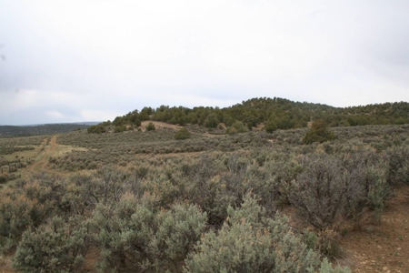 Land for sale near Chama NM below Brazos Cliffs - image 5