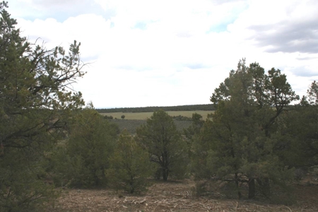 Land for sale near Chama NM below Brazos Cliffs - image 4
