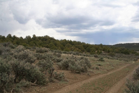 Land for sale near Chama NM below Brazos Cliffs - image 1