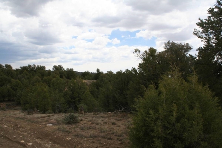 Land for sale near Chama NM below Brazos Cliffs - image 7
