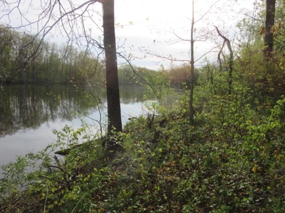 Lakefront Double Lot Near Robinson – Build Your Dream Home! - image 2