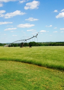 East Texas Cattle Ranch & Hay Farm For Sale Near Tyler Texas - image 2