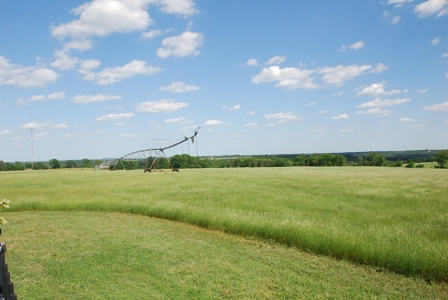 East Texas Cattle Ranch & Hay Farm For Sale Near Tyler Texas - image 3