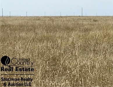 118+/- Acre Native Grass ~ Expired Crp ~ Sw Ks~Seward County - image 1