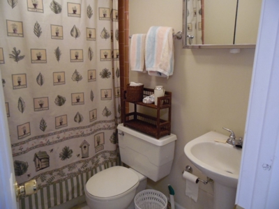 Blue Ridge Mountain Home with Views for Sale NC - image 17