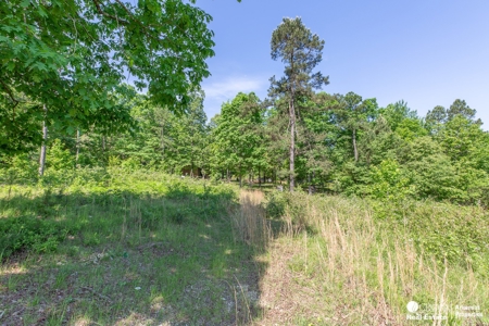 Off Grid Property in Arkansas - image 3