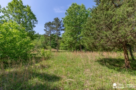 Off Grid Property in Arkansas - image 5