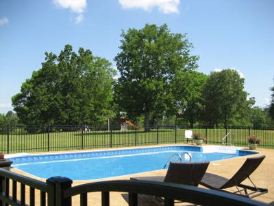 4 Bedroom Country Home For Sale In Shiloh Tn, Pool - image 33