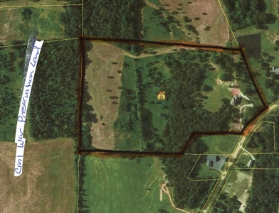 4 Bedroom Country Home For Sale In Shiloh Tn, Pool - image 50