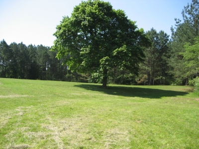 4 Bedroom Country Home For Sale In Shiloh Tn, Pool - image 49