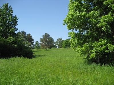 4 Bedroom Country Home For Sale In Shiloh Tn, Pool - image 44