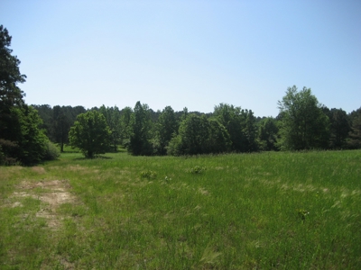 4 Bedroom Country Home For Sale In Shiloh Tn, Pool - image 45