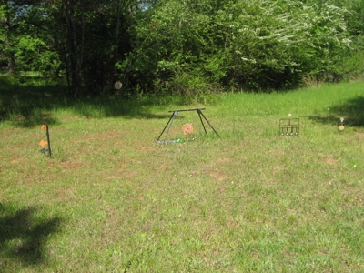 4 Bedroom Country Home For Sale In Shiloh Tn, Pool - image 46
