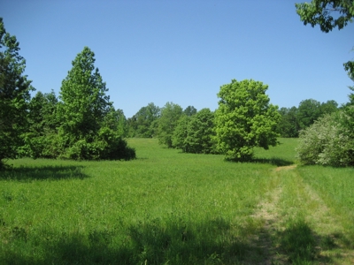 4 Bedroom Country Home For Sale In Shiloh Tn, Pool - image 43