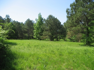 4 Bedroom Country Home For Sale In Shiloh Tn, Pool - image 42