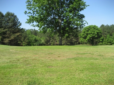 4 Bedroom Country Home For Sale In Shiloh Tn, Pool - image 38