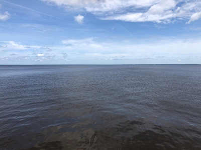 Waterfront Lot For Sale On The Albemarle Sound, NC - image 20