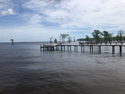 Waterfront Lot For Sale On The Albemarle Sound, NC - image 22