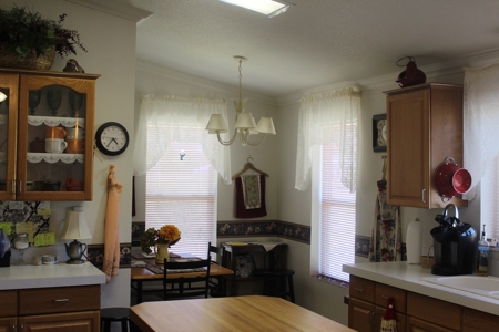 Eagle Nest Lake view home, NM near Angel Fire and fishing - image 34