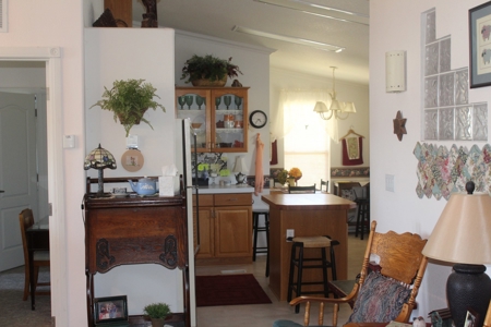 Eagle Nest Lake view home, NM near Angel Fire and fishing - image 32