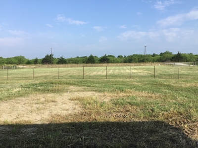 Prime Investment Opportunity For Sale In Terrell, Texas - image 4