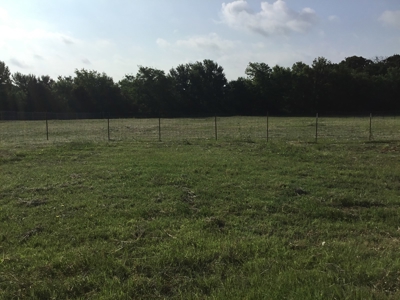 Prime Investment Opportunity For Sale In Terrell, Texas - image 3