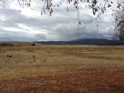 Northern California Farm Horse Property in Siskiyou County - image 15