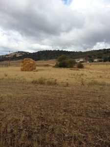Northern California Farm Horse Property in Siskiyou County - image 28