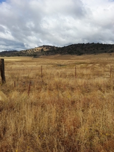 Northern California Farm Horse Property in Siskiyou County - image 18