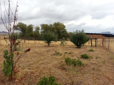 Northern California Farm Horse Property in Siskiyou County - image 23