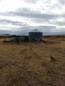 Northern California Farm Horse Property in Siskiyou County - image 16
