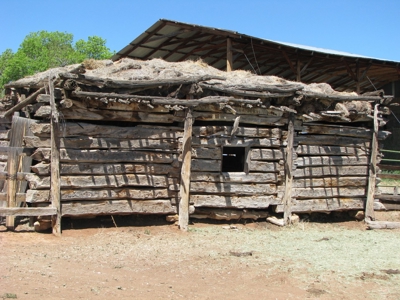 Southwest Colorado Ranch For Sale Cortez, Co - image 16