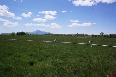 Southwest Colorado Ranch For Sale Cortez, Co - image 13