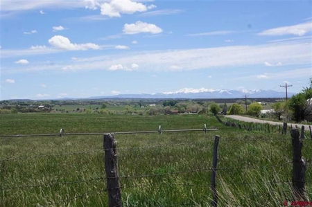 Southwest Colorado Ranch For Sale Cortez, Co - image 12