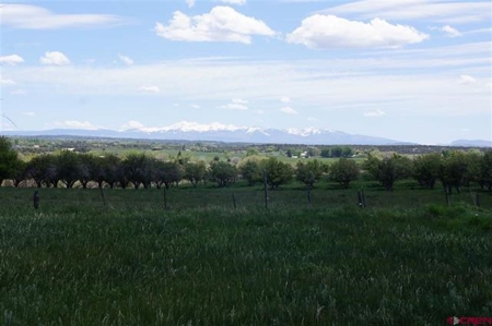 Southwest Colorado Ranch For Sale Cortez, Co - image 3