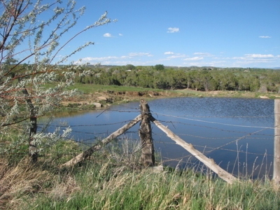 Southwest Colorado Ranch For Sale Cortez, Co - image 4