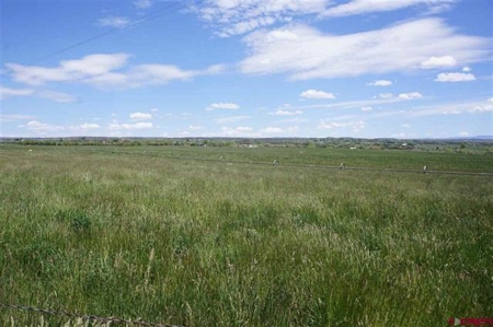 Southwest Colorado Ranch For Sale Cortez, Co - image 11