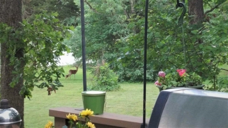Lake Front Home For Sale St. James Mo For Sale Lake Property - image 50
